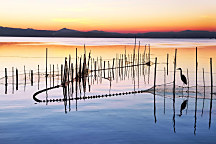 Obraz Letné ráno na jazere zs1338